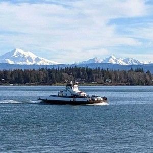 Meet your Posher, Dennis